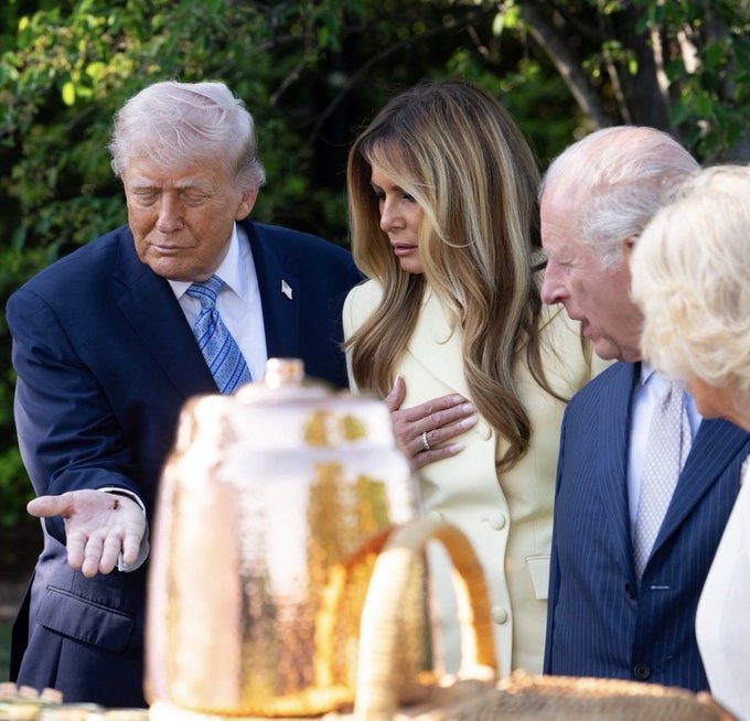 A bee rests on an open hand near a White House beehive during a symbolic Trump and King Charles telling the bees moment.